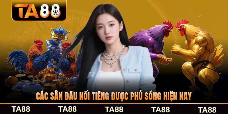Các sân đấu nổi tiếng được phủ sóng hiện nay rộng rãi