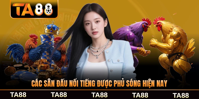 Các sân đấu nổi tiếng được phủ sóng hiện nay rộng rãi