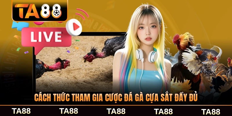 Cách thức tham gia cược đá gà cựa sắt đầy đủ từng bước