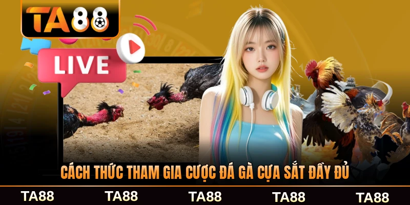 Cách thức tham gia cược đá gà cựa sắt đầy đủ từng bước