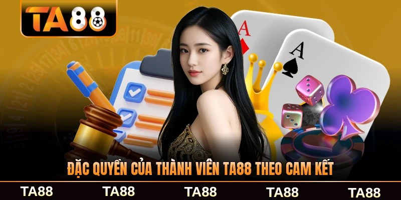 Đặc quyền của thành viên TA88 theo cam kết bảo mật toàn diện nhất