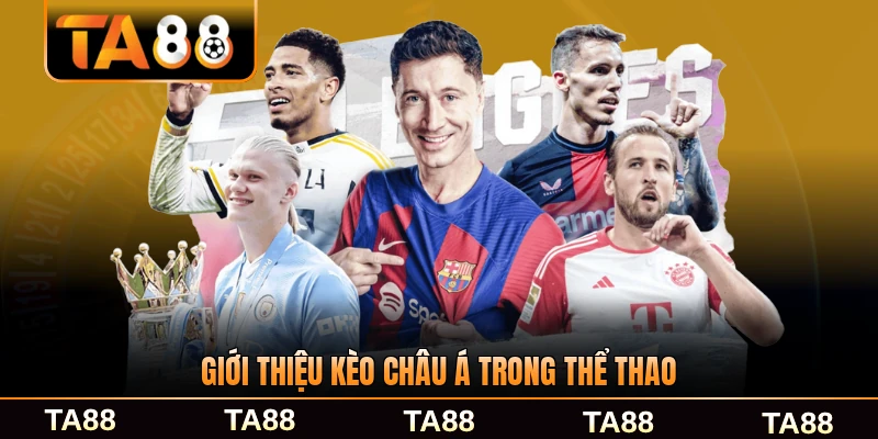 Giới thiệu kèo châu Á trong thể thao qua mạng đầy đủ
