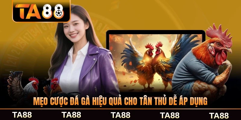 Mẹo cược đá gà hiệu quả cho tân thủ dễ áp dụng