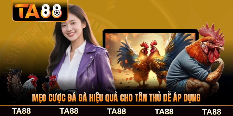 Mẹo cược đá gà hiệu quả cho tân thủ dễ áp dụng