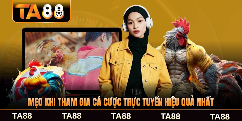 Mẹo khi tham gia cá cược trực tuyến hiệu quả nhất