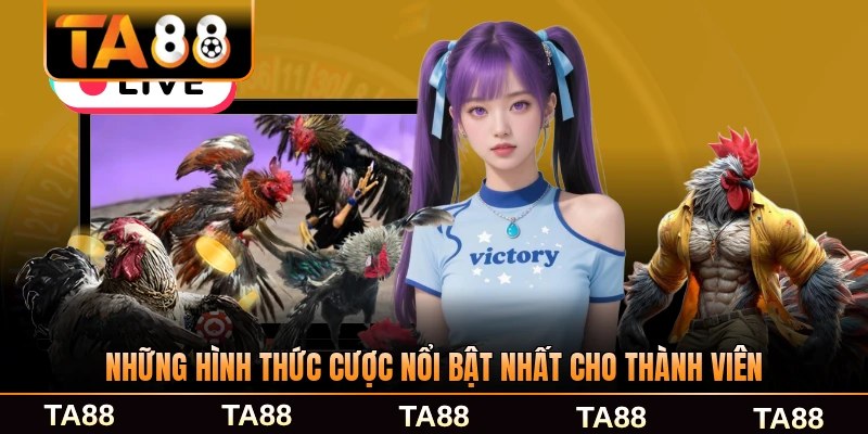 Những hình thức cược nổi bật nhất cho thành viên mới nhất
