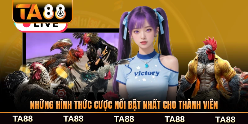 Những hình thức cược nổi bật nhất cho thành viên mới nhất