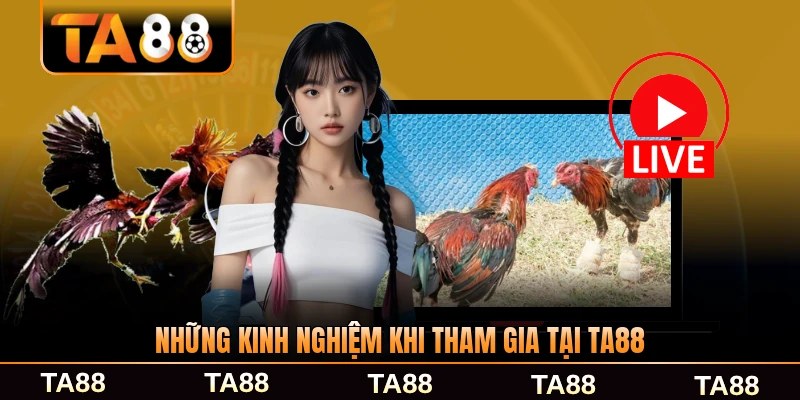 Những kinh nghiệm khi tham gia tại TA88 hữu ích