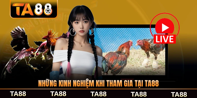 Những kinh nghiệm khi tham gia tại TA88 hữu ích