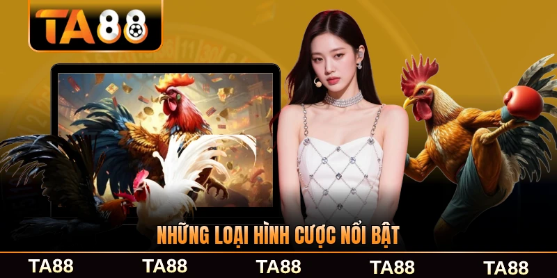 Những loại hình cược nổi bật chinh phục thành viên TA88 mới nhất